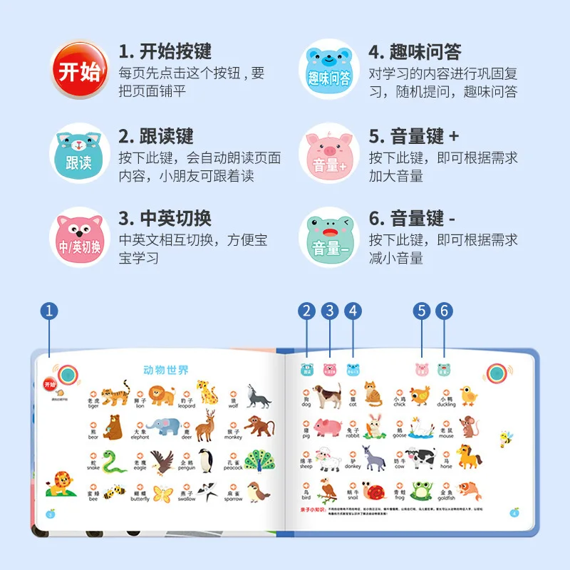 Kids Finger Touch Read Sound B - Kids Education Rhymes 评论和价格